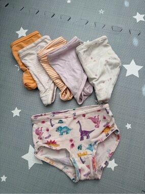 BOGO Burt’s Bees - Organic Cotton Undies, 4-5T